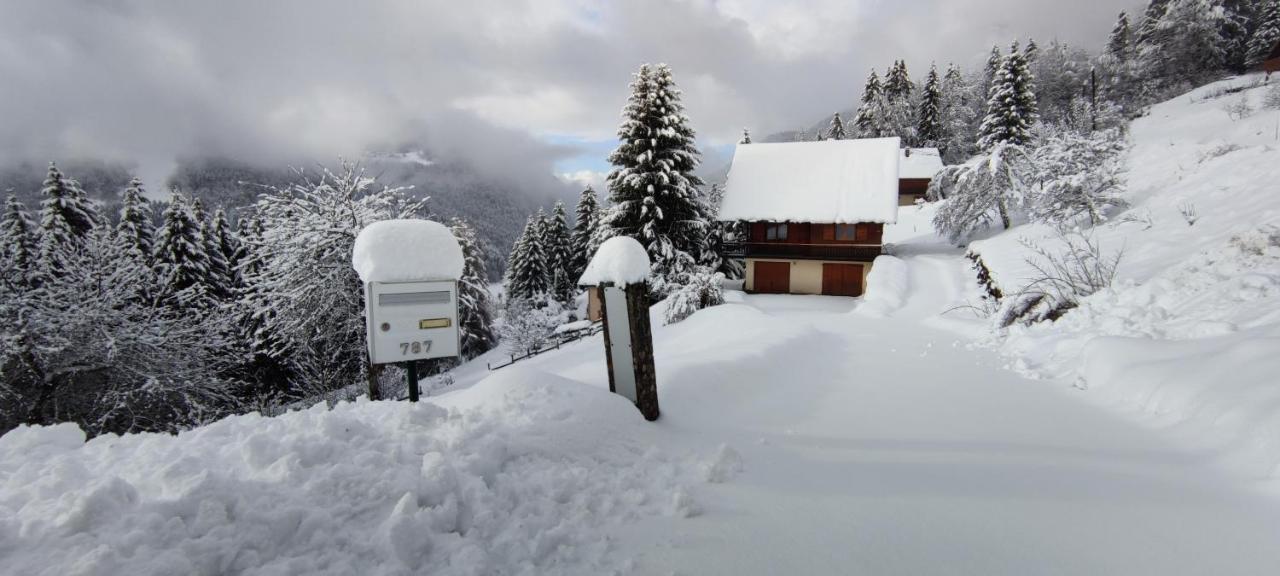 Chalet L'Alpe Saint-Pierre-d'Entremont  Экстерьер фото