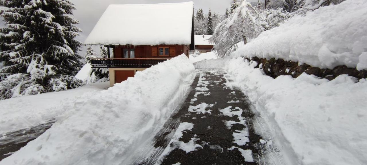 Chalet L'Alpe Saint-Pierre-d'Entremont  Экстерьер фото