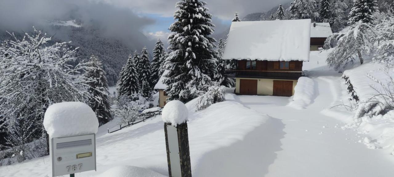 Chalet L'Alpe Saint-Pierre-d'Entremont  Экстерьер фото